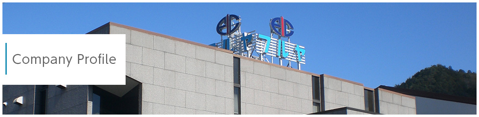 Company Profile